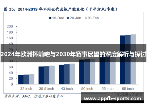 2024年欧洲杯前瞻与2030年赛事展望的深度解析与探讨