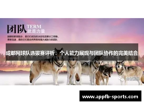 成都网球队选拔赛评析：个人能力展现与团队协作的完美结合